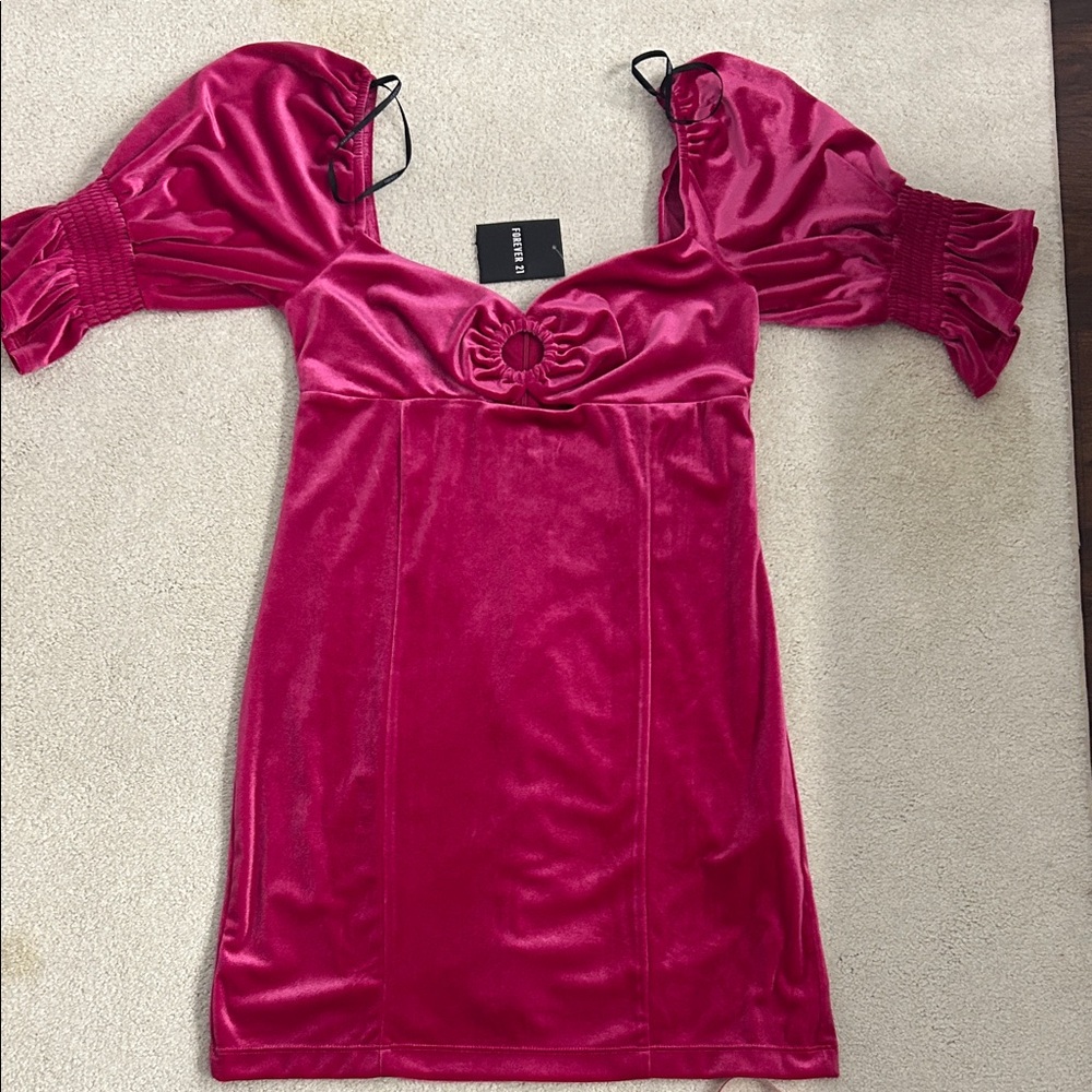 Forever 21 Pink Velvet Mini Dress